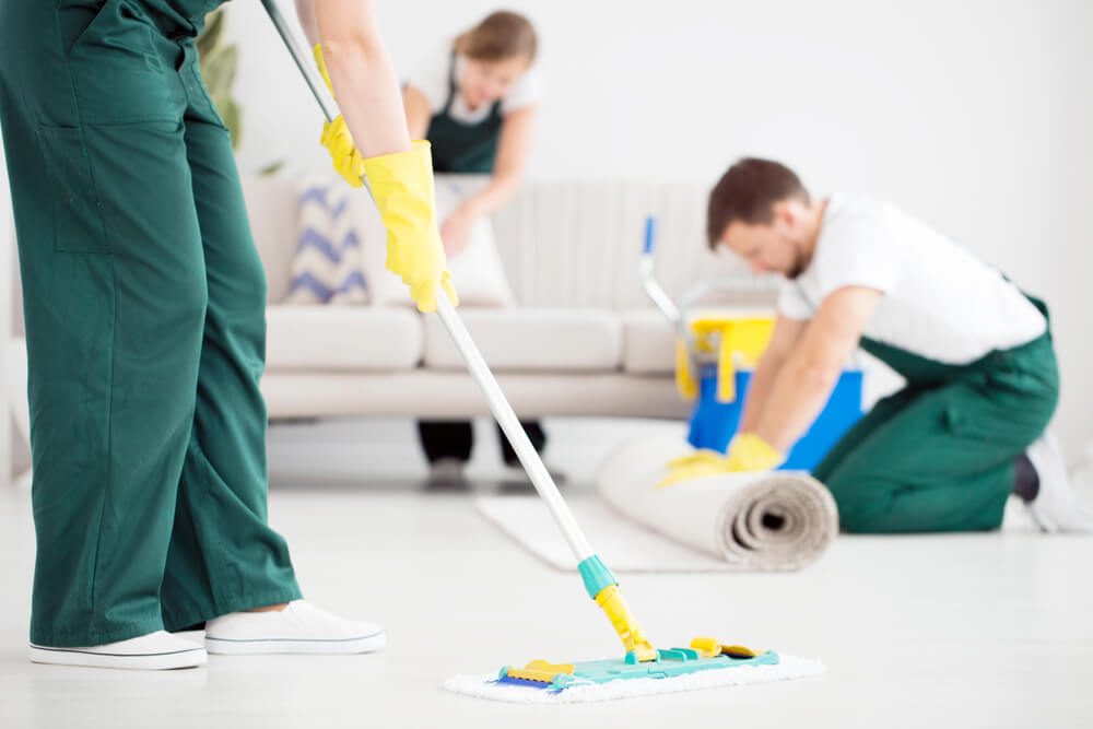 bond clean expert