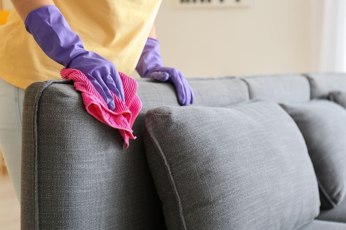 furniture cleaning services