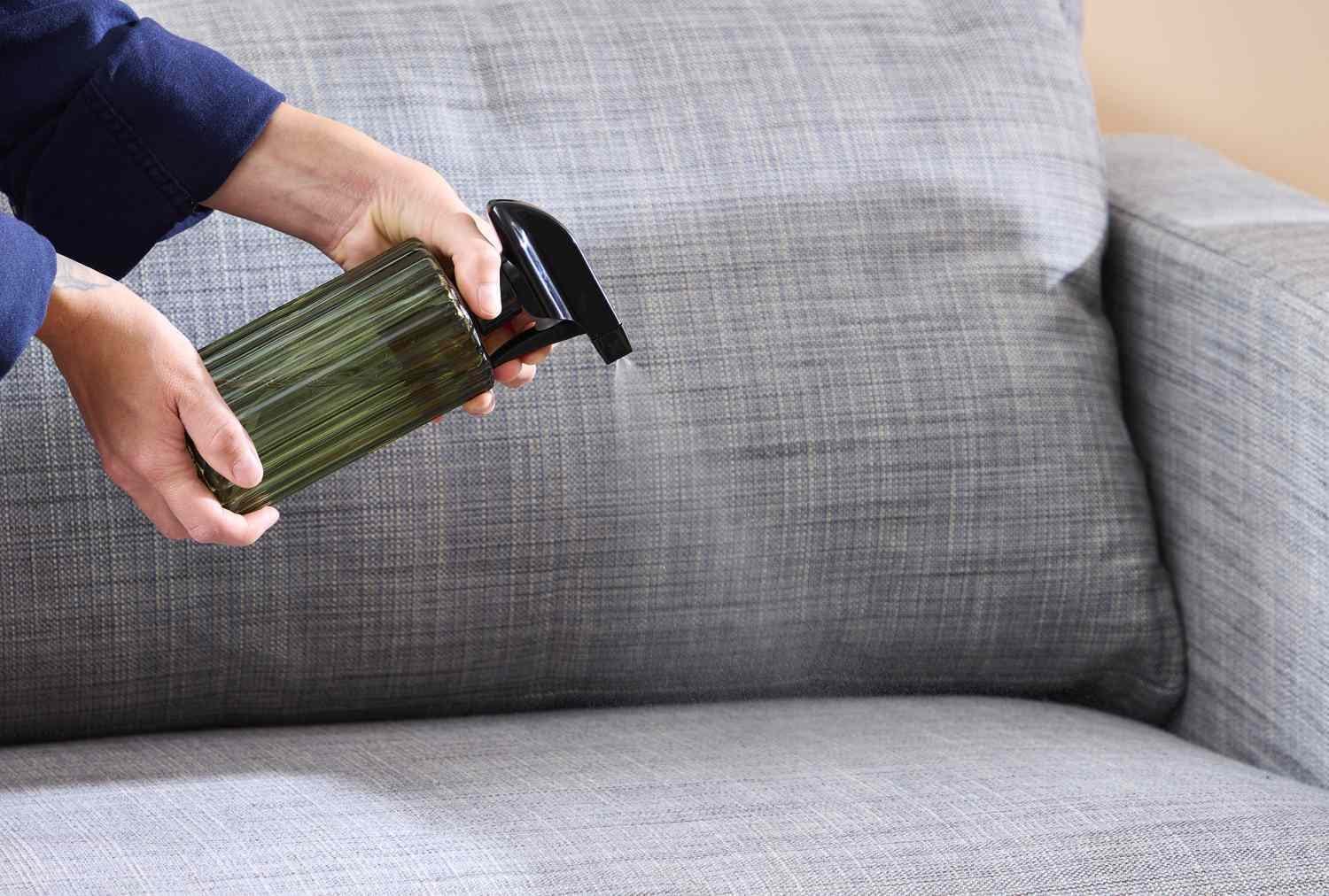 professional couch cleaning