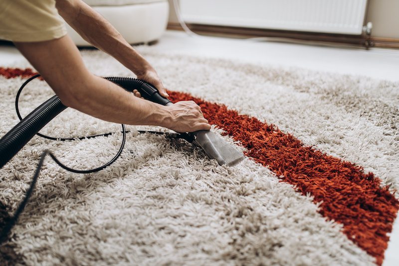 carpet cleaning services