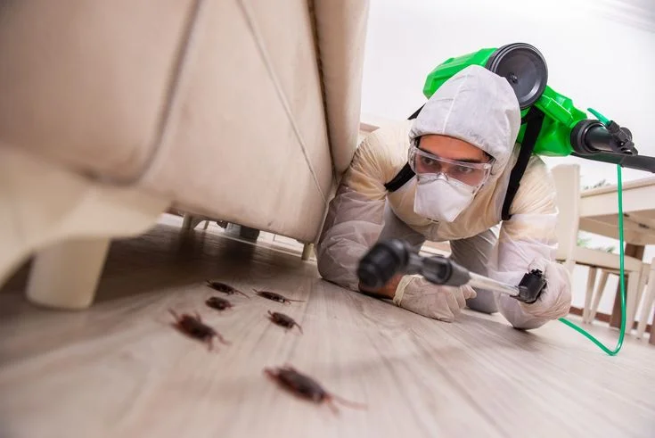 Pest-Control-Service-Chennai-1