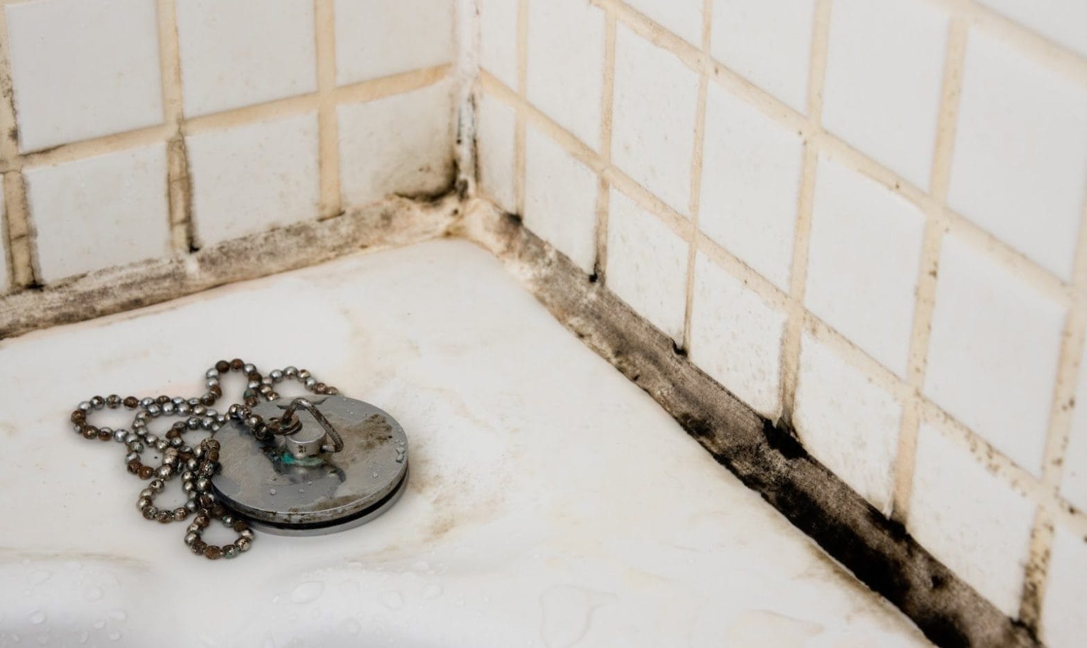 Mould on Bathroom Tiles