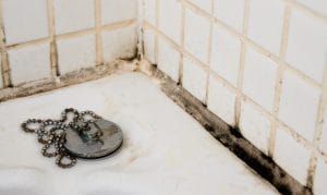 Mould on Bathroom Tiles